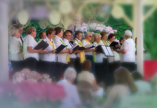 BWG Chor bei einem Auftritt in der Neuen Residenz