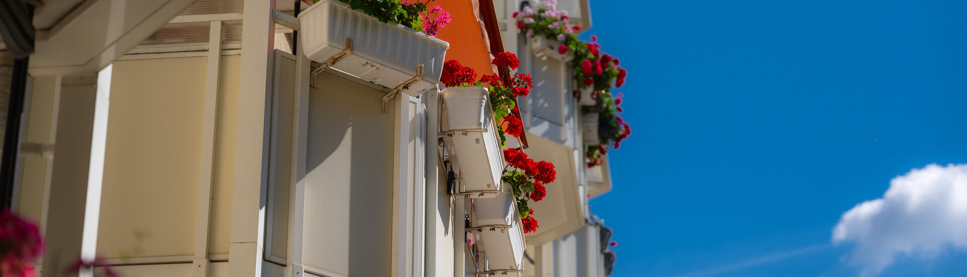 Balkonkästen mit roten Blumen an Balkon