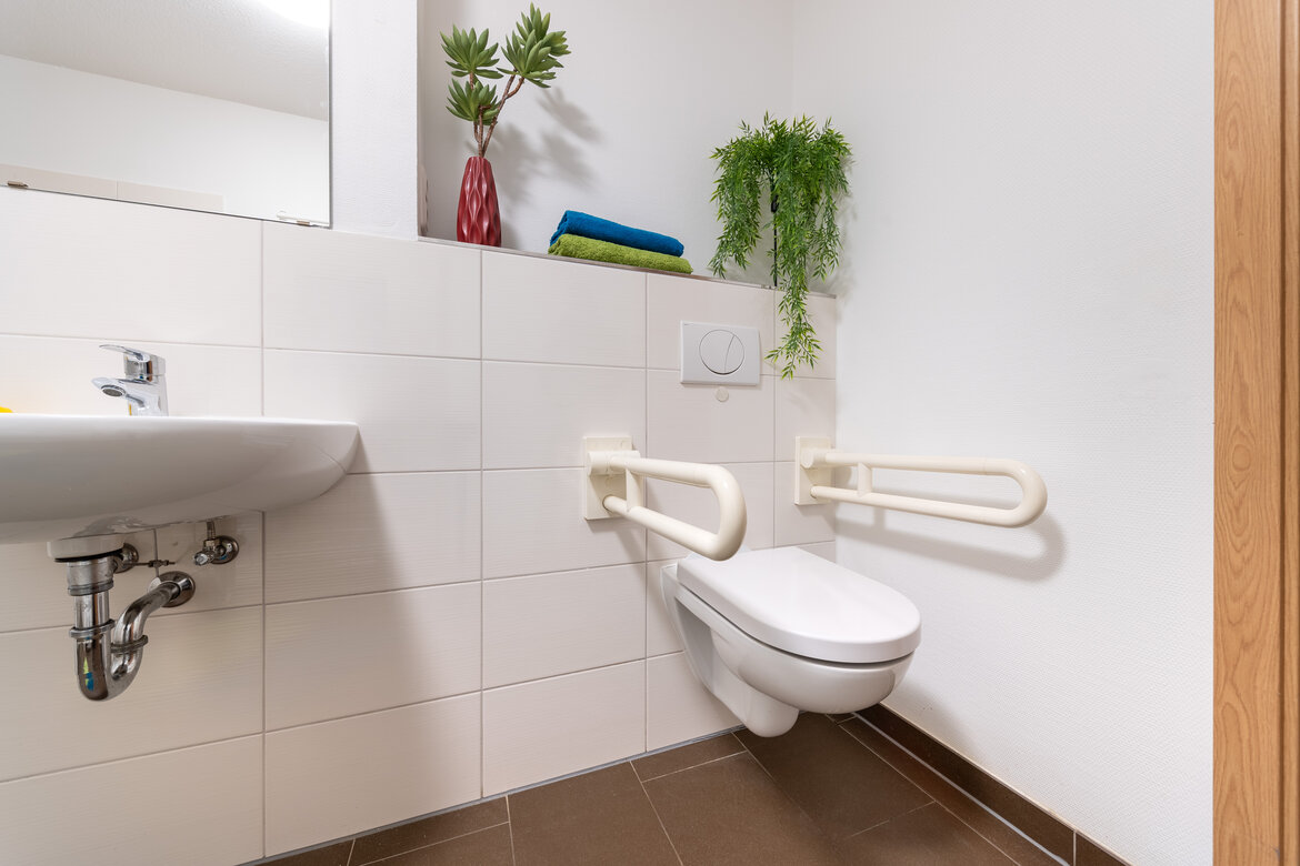 Toilette mit Haltegriffen