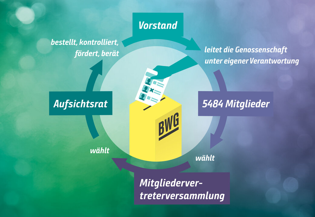 Grafik zur Erklärung wie die Organe einer Genossenschaft zusammenwirken