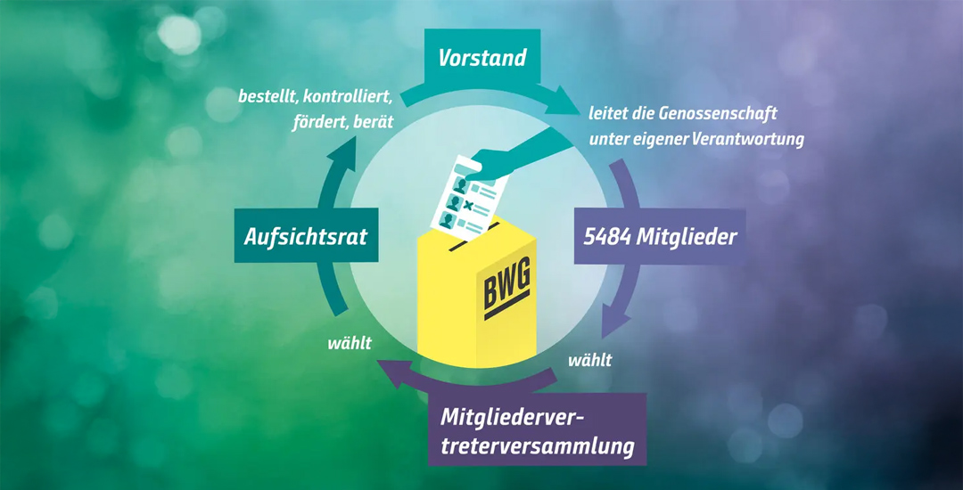 Kreislauf, der darstellt, wie die Organe einer Genossenschaft sich untereinander regulieren